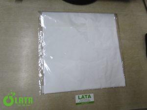 B1RSEJA0 IMG 2954