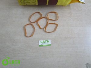 B1S4CSPR IMG 3045
