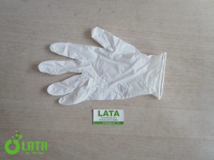 B1V6A6BO IMG 3281