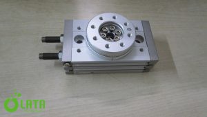 B239CPRU IMG 3742