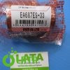 B41LJOC9 IMG 5757
