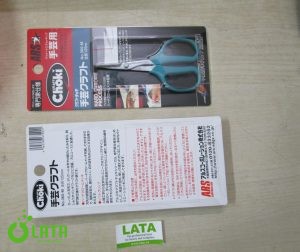 B49AFQHV IMG 6472