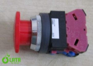 B4LMAS8J IMG 7541