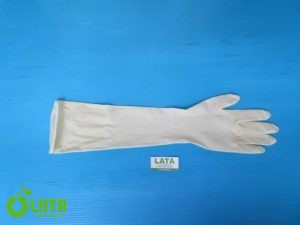 Latex Long  Găng tay E131-M