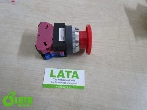 B4RDRJLA IMG 7547
