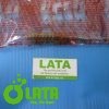 B4ST0GMO IMG 8104 1