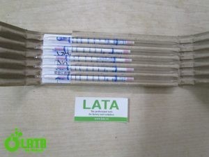 B4TUPT2V IMG 8830