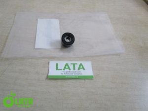 B4VNUT8C IMG 9992