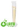 Graduated Cylinder Ống đong 100ml 1634AH/100 4 B54UUS4K 02056905s EC 1