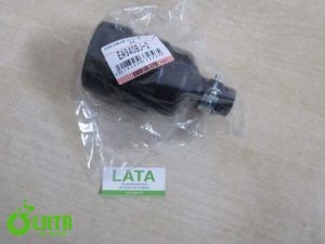 B556M11A IMG 2424