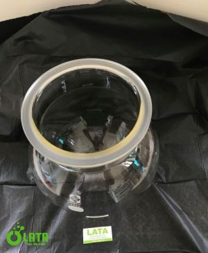B5IIUFBE IMG 1095 1