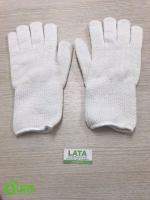 1-2768-11 Găng tay chịu nhiệt CGG200