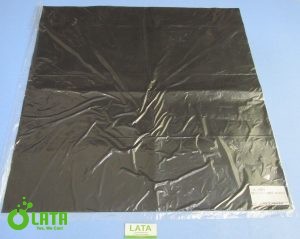 B5RHJI91 IMG 84942