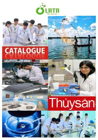 z7192170944027 e84440c8a50c405206e59c4363de1c78